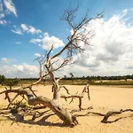 דירה Cozy With New Shower Near Popodium 013 טילבורג