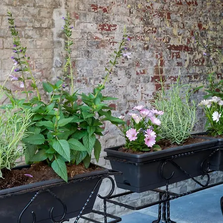 Apartment Cozy With New Shower Near Popodium 013