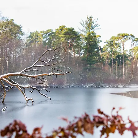Cozy With New Shower Near Popodium 013 * Tilburg