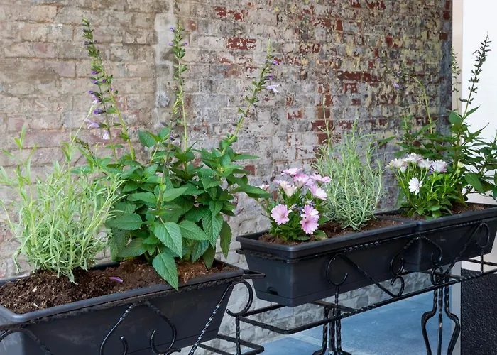 Apartment Cozy With New Shower Near Popodium 013