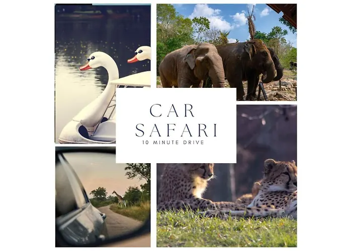 דירה Cozy With New Shower Near Popodium 013 טילבורג