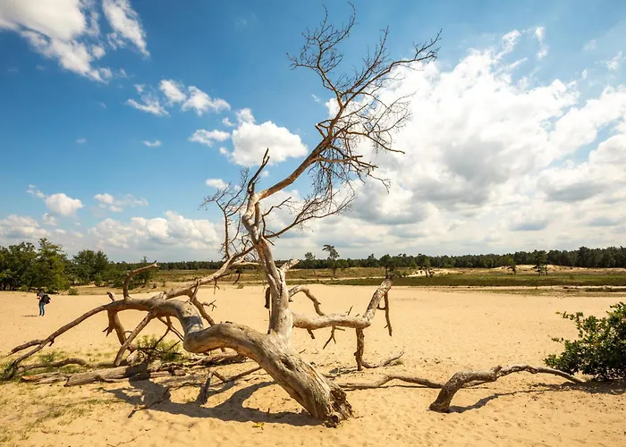 Διαμέρισμα Cozy With New Shower Near Popodium 013 Τίλμπουργκ