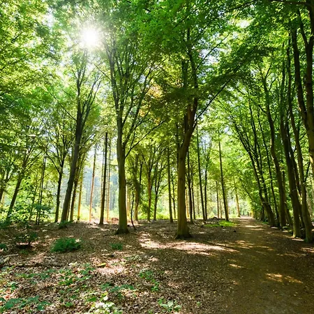 Cozy With New Shower Near Popodium 013 Appartement *