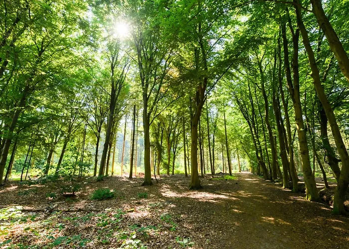 Cozy With New Shower Near Popodium 013 Appartement *