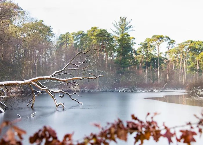 Cozy With New Shower Near Popodium 013 * Tilburg